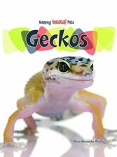 Geckos sonia hernandez for sale  ROSSENDALE