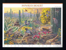 United states sonoran for sale  Vancouver
