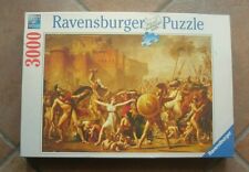Puzzle ravensburger 3000 usato  Luserna San Giovanni
