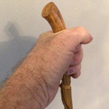 Hiking stick snake for sale  MIDDLESBROUGH