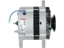 Alternatore yanmar 119573 usato  Battipaglia
