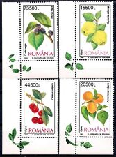Romania 2002 frutta usato  Trambileno