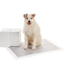 Amazon basics dog for sale  Chino