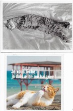 Cats postcards d'occasion  Expédié en Belgium