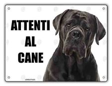 Cartello attenti cane usato  Vertemate con Minoprio