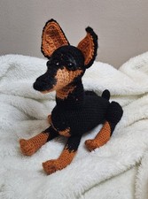 Pinczer miniatura na sprzedaż  PL