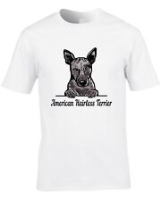 American hairless terrier for sale  ENFIELD