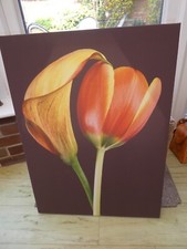 Vibrant tulip canvas for sale  CHRISTCHURCH