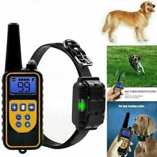 Collare 800m impermeabile usato  Villaricca