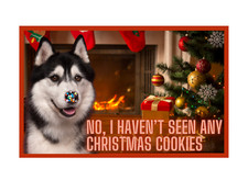 Siberian husky flat for sale  New Berlin