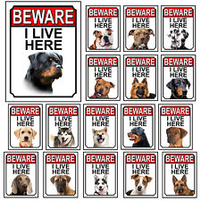 Dog breed gate for sale  NEWARK