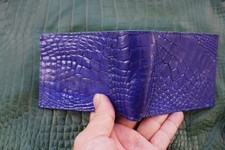 Real crocodile money for sale Real crocodile money for sale  USA