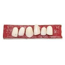 Antique dentures dentist d'occasion  Expédié en Belgium