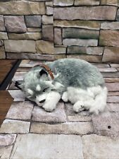 Perfect petzzz husky for sale  Live Oak