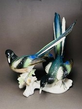 Karl ens magpie for sale  MAIDSTONE