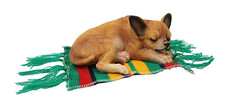 Chihuahua puppy dog for sale  Siloam Springs