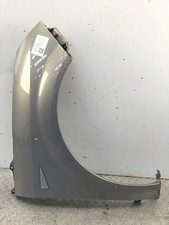 Kotflügel renault scenic gebraucht kaufen  Leverkusen