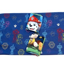 Paw patrol nickelodeon for sale  Bonita Springs