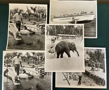 Seaworld san diego for sale  San Marcos