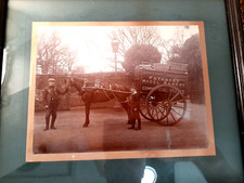 Beautiful early photograph for sale  Stuart