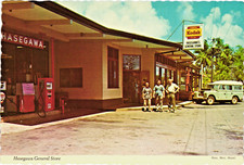 Hasegawa general chevron for sale  Fort Pierce