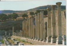 Pergamon türkei nordkollonade gebraucht kaufen  Versand nach Germany