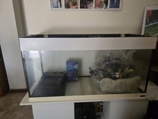 Vasca acquario terrario usato Vasca acquario terrario usato  Molfetta