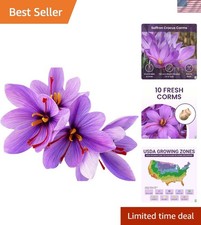 Saffron crocus corms for sale  Jersey City