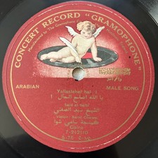 Said sayed safti for sale  Croton on Hudson