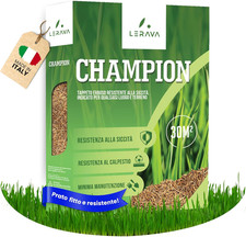 Champion semi prato usato  Roma