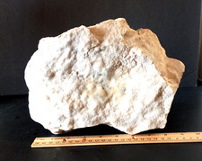 New mex. white for sale  Oklahoma City