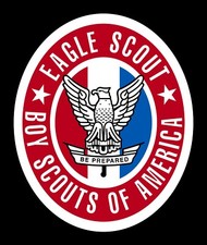 Fully reflective eagle for sale  Utica