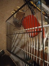 Used pit boss for sale  Bay City