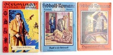 Kriminal erdball romane gebraucht kaufen  Berlin