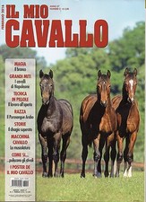 Mio cavallo 2016 usato  Campagna