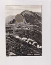 Ormea cuneo monte usato Ormea cuneo monte usato  Cuneo