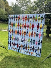 Himmelblaue raketenfische patc gebraucht kaufen  Leverkusen