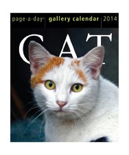 Cat gallery calendar for sale  MAIDENHEAD