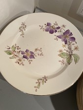 Wächtersbach teller suppentel gebraucht kaufen  Bad Schwartau