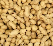10kg monkey nuts for sale  CHRISTCHURCH