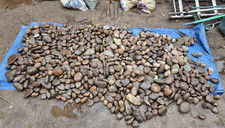 Decorative beach cobbles for sale  FLEET