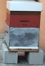 Ruches dadant peuplée d'occasion  Mâcon