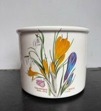 Vintage portmeirion botanic for sale  LONDON