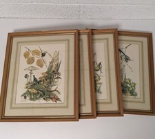marjorie blamey for sale marjorie blamey for sale THETFORD