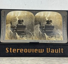 Keystone stereoview 10418 for sale  Madison