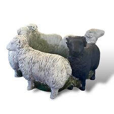 Black sheep planter for sale  Stilwell