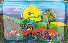 2046 : PLATEAU : SERVICE PLASTIQUE : CIBIE : FORMAT : 44X29 CM : PROFONDEUR : 2 comprar usado  Enviando para Brazil