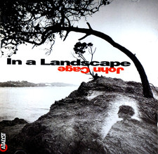 John Cage - Em uma paisagem, Stephen Drury - CD, MUITO BOM ESTADO comprar usado  Enviando para Brazil