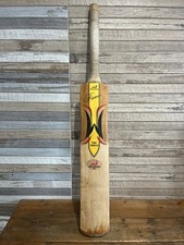 Woodworm pioneer torch for sale  KETTERING