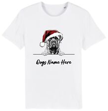 Bullmastiff personalised chris for sale  PONTYPRIDD
